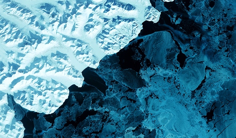 Introdução à COP: Entendendo as negociações climáticas